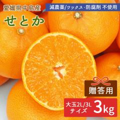 �����Y �݂��� ���Ƃ� 3kg �����p(�ԏG) ���I�i ��� 2L/3L�T�C�Y ��10�`12�ʁy�k�C�����ꌧ�������������z �������Ƃ� ���_�� �Y�n���� 