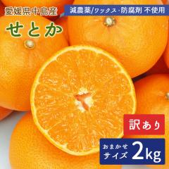 �����Y �݂��� ���Ƃ� 2kg �󂠂� �T�C�Y���� �������Ƃ� ���_�� �y�k�C�����ꌧ�������������z �Y�n���� ���݂��� ���k �ʕ� �t���[�c 