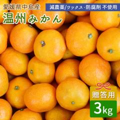 �Y�n���� ��]�̓� ���B�݂��� 3kg �����p ���I�i ���Y ���݂��� �y�k�C�����ꌧ�������������z ������������ �~�J�� ���˓��C ��]�̓�