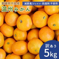 �Y�n���� �󂠂� �݂��� 5kg �T�C�Y�s���� ���Y ���B�݂��� �y�k�C�����ꌧ�������������z ���݂��� ���˓��C �����̓� ���Q�� �����Y ��