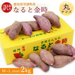 �y�Y�n�����z �󂠂� ���܈� ����� ���Y �� 2kg �ۃT�C�Y �y�k�C�����ꌧ�������������z������ �� ���Y�Y �������� �� ���܂�