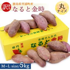 �y�Y�n�����z �󂠂� ���܈� ����� ���Y �� 5kg �ۃT�C�Y �y�k�C�����ꌧ�������������z������ �� ���Y�Y �������� �� ���܂�