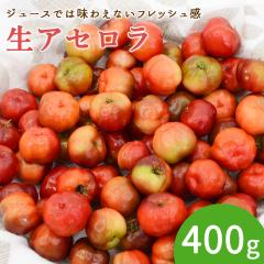 �y���Y ���A�Z�����z�A�Z�����̊�� �� �A�Z���� 400g [�`���h��] [���}�g����]�y�k�C�����ꌧ�������������z�󏭃t���[�c �ʕ� �t���b�V