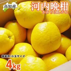 �y���c�����z �͓��ӊ� �����܂���� 4kg S�`M 8�`16�� ���c�ʎ��� �͓��΂񂩂� ���m�Y �y�k�C�����ꌧ�������������z �h�� ���Y �a���O