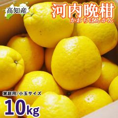 �y���c�����z �͓��ӊ� �����܂���� 10kg S�`M 30�`40�� ���c�ʎ��� �͓��΂񂩂� ���m�Y �y�k�C�����ꌧ�������������z �h�� ���Y �a��