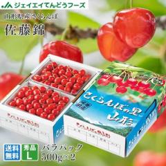 �W�F�C�G�C�Ă�ǂ��t�[�Y ������ �M�t�g �����p �������� �R�`���Y ������ ��500g�~2 �G�i L�� �o���p�b�N �y6�����{�����o�ח\��z