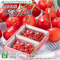 �W�F�C�G�C�Ă�ǂ��t�[�Y �R�`���Y ���ƒ�p �i�킨�܂��� �������� M�T�C�Y�ȏ� 180g�~2 �t�[�h�p�b�N �o���l�� �y��6�����{����蔭
