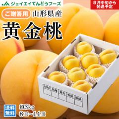 ジェイエイてんどうフーズ 桃 黄桃 黄金桃 約3kg (8〜14玉) 山形県産 桃 ギフト 旬 産地直送 予約商品 pc11