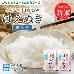 ジェイエイてんどうフーズ お米 10kg 無洗米 山形県産 令和7年 はえぬき 無洗米 10kg（5kg×2袋） 【※キャンセル不可・着日指定不可】 