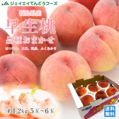ジェイエイてんどうフーズ  桃 白桃 約1.2kg 福島県産 旬の品種を厳選セレクト 産地直送【7月上旬より発送予定】