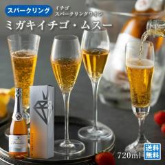 �W�F�C�G�C�Ă�ǂ��t�[�Y �~�K�L�C�`�S�E���X�[ 720ml �X�p�[�N�����O���C�� ���蕨 �M�t�g �{�錧�Y ���h�� ������ �����F � ���