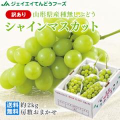 WFCGCĂǂt[Y 󂠂 Ԃǂ 炲ƐHׂ VC}XJbg 2kg R`Y p  gr07