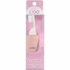 LIGO ~jRbvt n~KLZbg sN LG500P