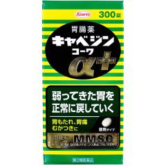 y2ވiz LxWR[vX 300 ݒ