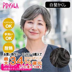 �y�������������[ �|�C���g�ő�34���z[�o���Ȃ��E�B�b�O]�v���V�� ST-005-TNGH ���������������ڃ^�C�v #�ϔM�i�`�������O���C�w�A[���{