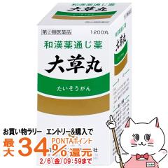 �y�������������[ �ő�34���Ҍ��z�y�w���2�ވ��i�z�呐�� 1200��[�֔��][���M��i�H�Ɗ������][��������](6044355)