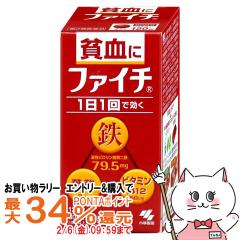 �y�������������[ �ő�34���Ҍ��z�y��2�ވ��i�z�t�@�C�` 120��[���ѐ���][���̑����i][��������](6061499)