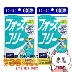 �y�|�C���g������ �ő�36%�Ҍ��z[2�Z�b�g]DHC �t�H�[�X�R���[20����(80��)������2�Z�b�g[���N�H�i/�^�u���b�g][���[���֔���OK](6004