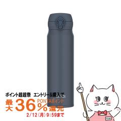 �y�|�C���g������ �ő�36%�Ҍ��zTHERMOS �T�[���X�^��f�M�P�[�^�C�}�O 600ml JNL-S600 MLGY �~�l�����O���[[���� �ۉ� �ۗ� �����^�b�` 