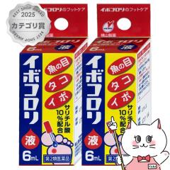 �y��2�ވ��i�z[�Z�b�g]�C�{�R�����t 6ml�~2��[���R����][���[���֔���OK](6042445-set1)