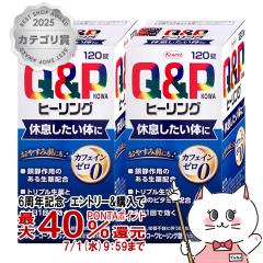 �y6���N�L�O �ő�40���Ҍ��z[�w���򕔊O�i]�L���[�s�[�R�[���q�[�����O�� 120���~2��[���a][�ݶ̪/��J��/�h�{�⋋/1��1��/1��2