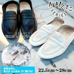 n n[t@[ zCg MTCY(24.0`24.5) HK-1001[{ vC Y fB[X jZbNX EHbVuU[ 