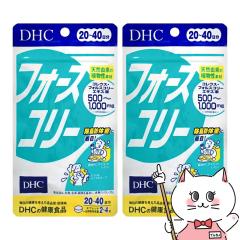 [2�Z�b�g]DHC �t�H�[�X�R���[20����(80��)������2�Z�b�g[���N�H�i/�^�u���b�g][���[���֔���OK](6004552-set1)