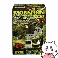 WFbNX X[\[happiest][] (6037323)