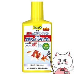 �y������ �ő�36���Ҍ��z�X�y�N�g�����u�����Y�W���p�� �e�g�� �����̐����T�C�N�� 250ml[happiest] (6042765)