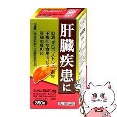 y2ވizlIo~ 360[򐻖H][̑][](6043180)