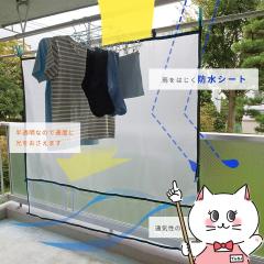 bN x_֗V[gL[pi/J/LEC](6043317)