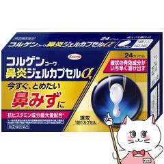 yw2ވizRQR[@WFJvZ 24JvZ(ZtfBP[VŐΏ)[[֔OK](6044008)