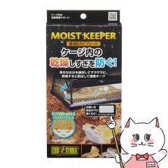 WFbNX hJrv[g[happiest] (6046666)