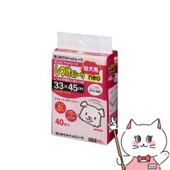 {rAR V[c cpneo M[TCY 40[happiest][] (6046822)