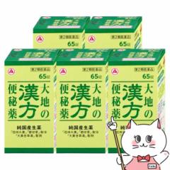 【第2類医薬品】[セット]大地の漢方便秘薬 65錠×5個[アリナミン製薬][便秘薬][送料無料](6055996-set3)