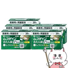 �y��܋L�O �ő�550�~�I�t�N�[�|���z�y��2�ވ��i�z[�Z�b�g]���R�_�C�� �������Pro500 20���~5��(�Z���t���f�B�P�[�V�����Ő��Ώ�)[�V