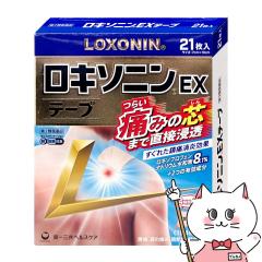 y2ވizL\jEXe[v 21(ZtfBP[VŐΏ)[OwXPA][E֐ߒ][[֔OK](60575