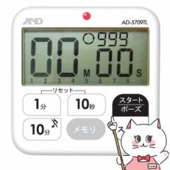 G[AhfC AD5709TL 100`hC^[o^C}[[@\h^C}[ 100v fW^][A&D][[֔OK](6058637)