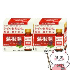 �y��2�ވ��i�z[�Z�b�g]�c�������������t ������ 30ml�~3�{���~2��(�Z���t���f�B�P�[�V�����Ő��Ώ�)[�c����][����][��������] (6058755