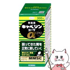 y2ވizLxWR[vX 300[a][ݒ][](6058823)