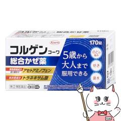 yw2ވizRQR[ 170(ZtfBP[VŐΏ)[][a][](6060702)