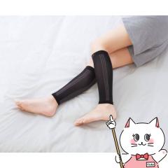 ���C�_�C ���쎮 �����d��MOMI�~2(���~���~) 2���g �u���b�N[�ӂ���͂��T�|�[�^�[ ���� ���� �ނ��݉��� �j�����p �t�b�g�P�A][���[����