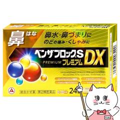 yw2ވizxUubNS v~ADX 24(ZtfBP[VŐΏ)[Ai~][][[֔OK](60622