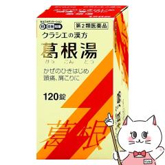 y2ވizNVG  120(ZtfBP[VŐΏ)[][NVGi][](6064373)(wn1219)