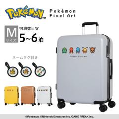 �y���i���r���[��+5%�z�X�[�c�P�[�X �g�� �s�J�`���E �C�[�u�C �|�P���� �|�P�b�g�����X�^�[ �s�N�Z���A�[�g  �y�� ���킢�� �_�C������