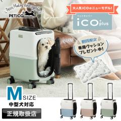 �y���i���r���[��+5%�z�y2026�N�V�^���f���z���Ȃ��p�N�b�V�������v���[���g�IPETiCO �y�`�R �y�b�g �L�����[�J�[�g �y�b�g�L�����[�o
