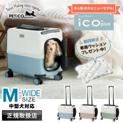 �y���i���r���[��+5%�z�y2026�N�V�^���f���z���Ȃ��p�N�b�V�������v���[���g�IPETiCO �y�`�R �y�b�g �L�����[�J�[�g �y�b�g�L�����[�o