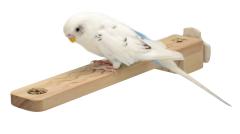 �����p�p�[�`�@���񂵂�t���b�g�p�[�`�@�����O �O�W����@(4976285111648 )