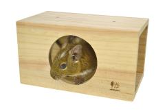 �f�O�[�E�n���l�Y�~�E�t�N���������K���̏������p�X�N�G�A�g���l��M �O�W���� H31