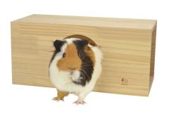 �������b�g�E�n���l�Y�~�E�`���`���E���������̏������p�X�N�G�A�g���l��L�O�W���� H32